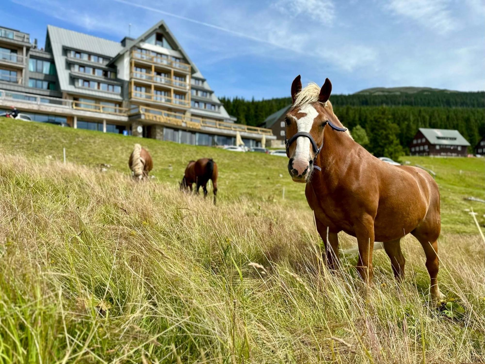 Erlebachova Bouda, Hotel - Resort Svaty Frantisek Špindlerŭv Mlýn Esterno foto